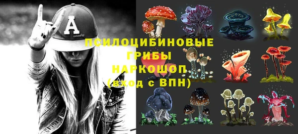 прущие грибы Лиски