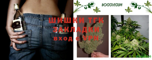 МДПВ Лагань