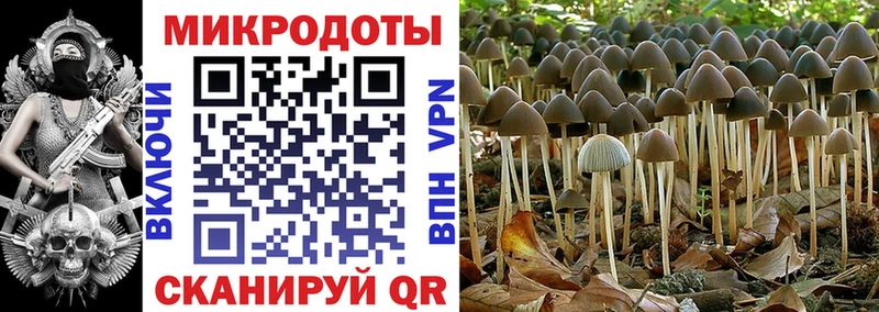 Псилоцибиновые грибы Cubensis Невинномысск