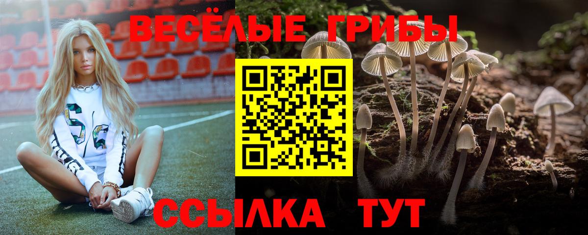 Невинномысск  Галлюциногенные грибы MAGIC MUSHROOMS  Псилоцибиновые грибы мухоморы  Вход с VPN 